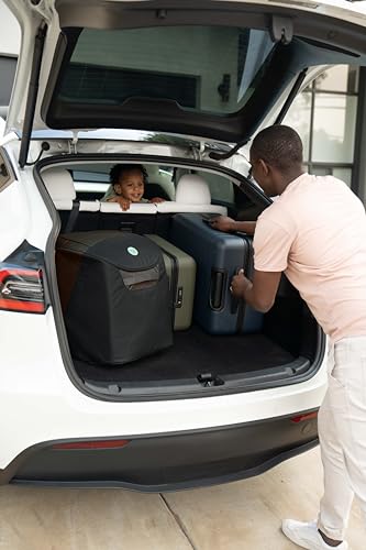 WAYB Pico Travel Car Seat with Premium Carrying Bag- Lightweight, Portable, Foldable - Perfect for Airplanes, Rideshares, and Road Trips - Forward Facing for Kids 22-50 lbs. and 30-45"