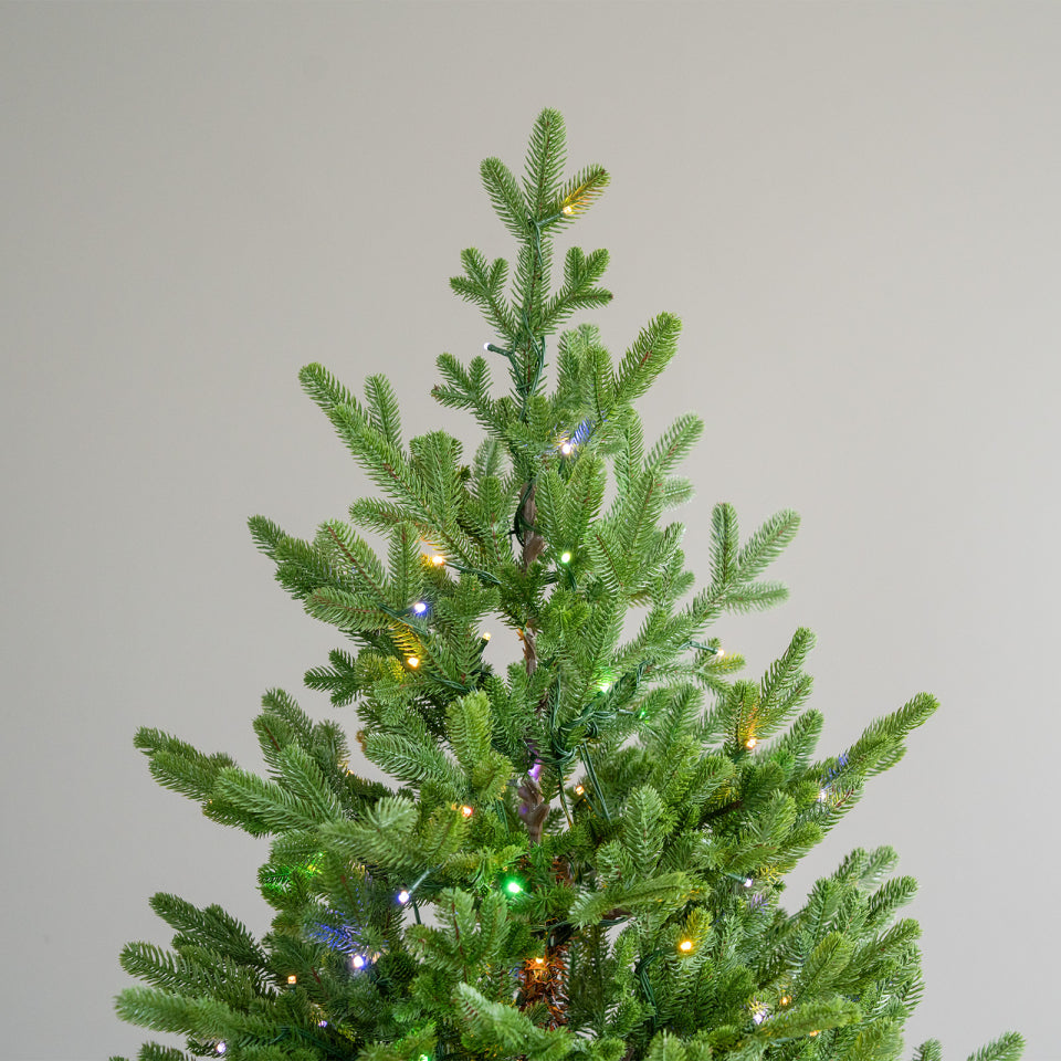 8ft Courcheval Fir Pre-Lit Christmas Tree